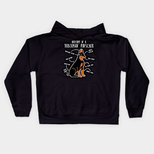 Doberman Anatomy Kids Hoodie